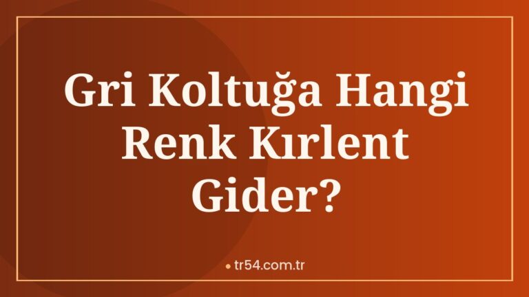 Gri Koltuğa Hangi Renk Kırlent Gider?